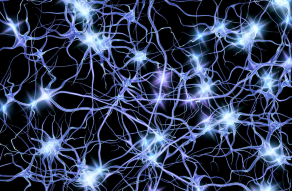 Peptides for Immune System