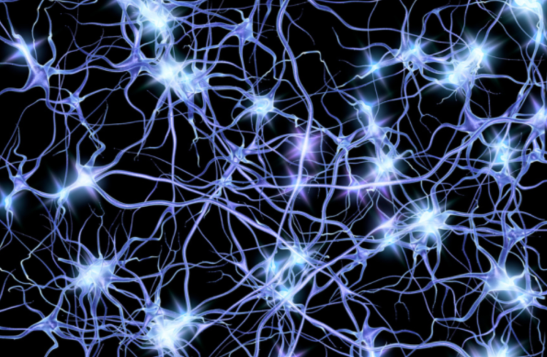 Peptides for Immune System