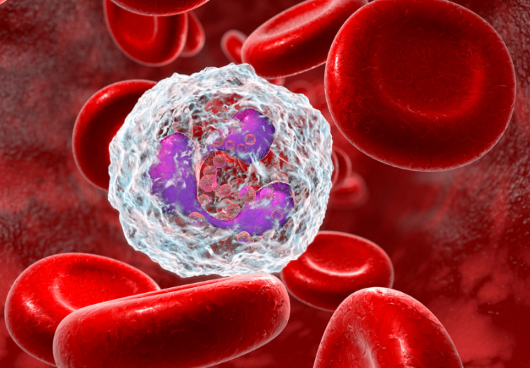 Peptides for Immune System